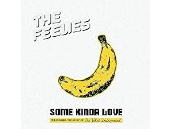 Some Kinda Love : Performing the Music of Velvet Underground