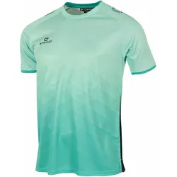 Stanno, Unisex, Sportshirt, Altius Trikot (140), Grün