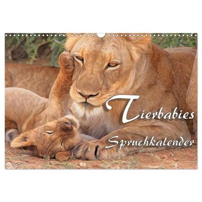 Tierbabies - Spruchkalender (Wandkalender 2027 DIN A3 quer), CALVENDO Monatskalender