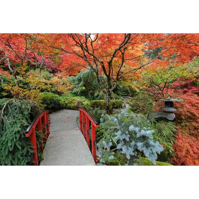 Fototapete PAPERMOON "JAPANISCHER GARTEN HERBST", bunt, B:2m L:1,49m, Vlies, Tapeten