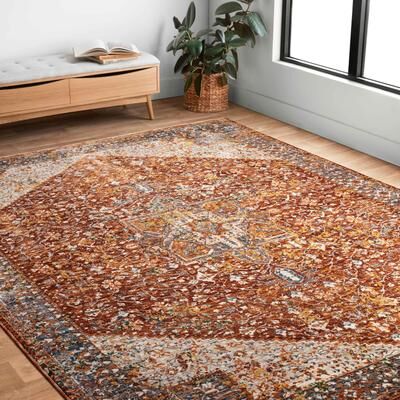 Alexander Home Leah Vintage Medallion Area Rug