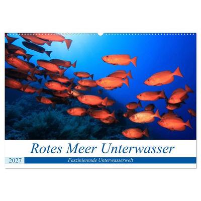Rotes Meer Unterwasser (Wandkalender 2027 DIN A2 quer), CALVENDO Monatskalender