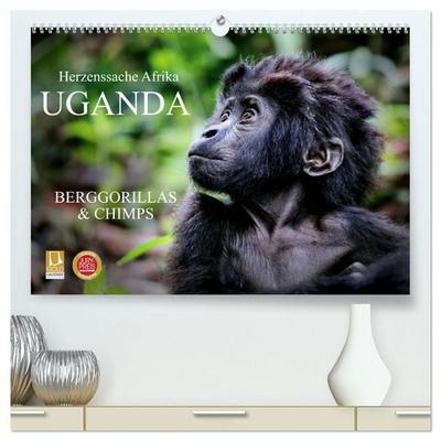 UGANDA - Berggorillas & Chimps (hochwertiger Premium Wandkalender 2027 DIN A2 quer), Kunstdruck in Hochglanz