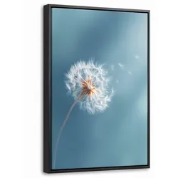 LEINWAND Bilder mit Rahmen - Löwenzahn - Wind - Blau - 40x60