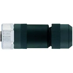 Escha 8086300 Sensor-/Aktor-Steckverbinder, unkonfektioniert Polzahl Sensoren, Elektronikkabel + Stecker, Schwarz, Grau