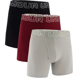 3er Pack UNDER ARMOUR Performance Cotton Solid 6" Boxershorts Herren 059 - titanium XS