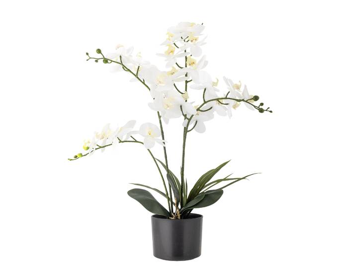 Bloomingville Kunstbloem Orchid 84cm hoog - Wit