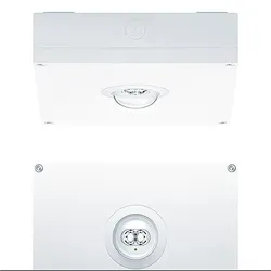 Zumtobel 42937878 Sicherheitsleuchte RESPRO MSC ANT E1BC WH IP65