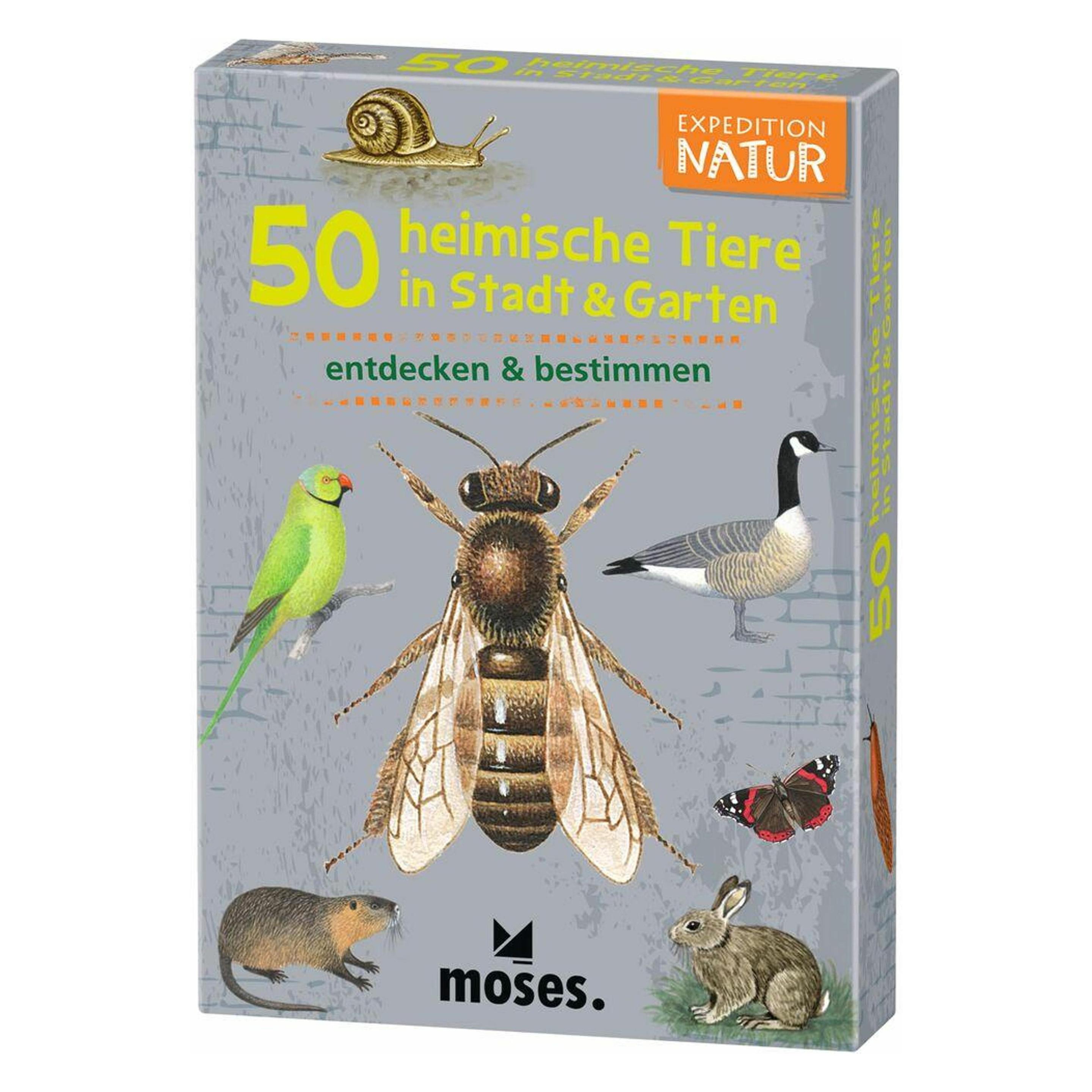 Moses Expedition Natur 50 heimische Tiere in Stadt & Garten (Deutsch, 1 - 20 Spieler) (4033477097781)