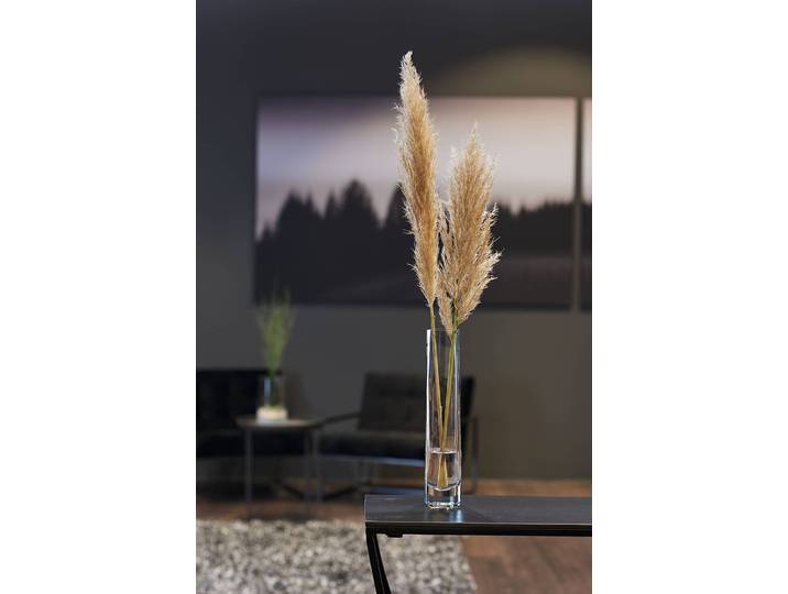 Vase Novara Schmal 30cm Durchsichtig