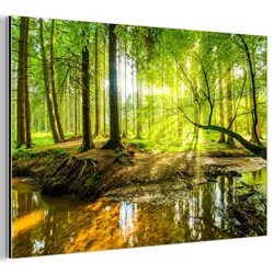 METALLBILD Wald - Landschaft - Wasser - Bäume - Sonne - Grün - Natur 30x20 cm