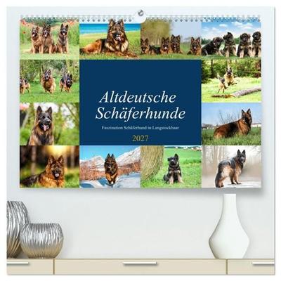 Altdeutsche Schäferhunde - Faszination Schäferhund in Langstockhaar (hochwertiger Premium Wandkalender 2027 DIN A2 quer), Kunstdruck in Hochglanz