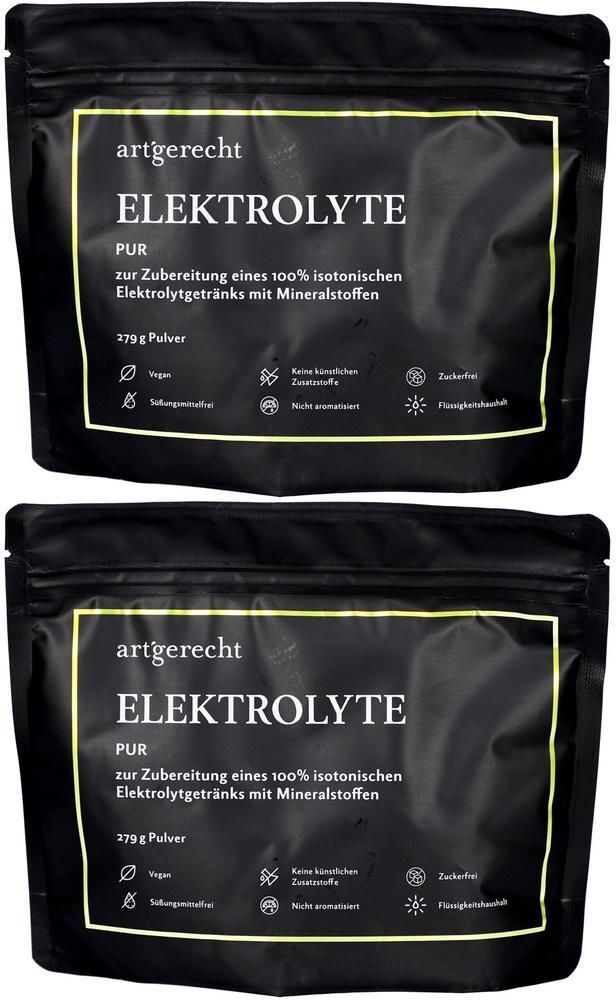 Art´gerecht Elektrolyte Pulver 2x 2x279 g