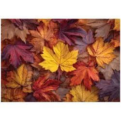 FOTOTAPETE Blätter Natur Bunt 400x280 cm