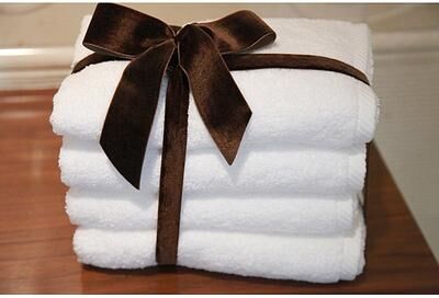 Authentic Hotel and Spa Plush Soft Twist Turkish Cotton Hand Towel (Set of 4)