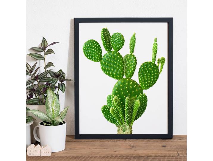 Tableau déco Cactus Cadre : hêtre massif verni Revêtement : plexiglas Multicolore 42 x 52cm