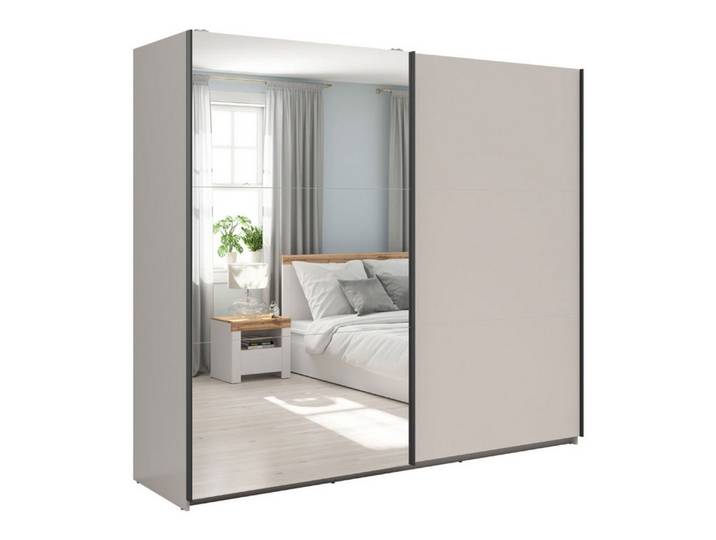 Feldmann-Wohnen Schwebetürenschrank Tetrix (mit Schwebetüren, mit Einlegeböden, mit Kleiderstangen, 1-St., moderne Optik, mit Schwebetüren, mit Einlegeböden, mit Kleiderstangen) 220x60x195,5cm 2-türig Teilspiegel