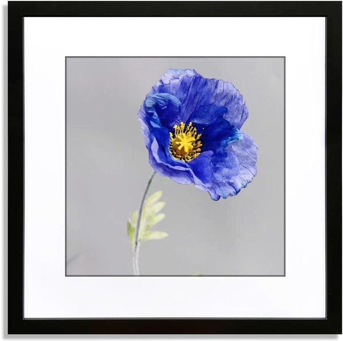 Fotolijst Zwart Wandlijst Galerij Muurdecoratie 18x18 Inch