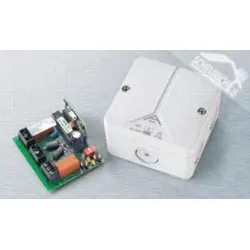 Normstahl Potentialfreier Empfänger, 2 Befehl (24 V), 40 Mhz AM codierbar