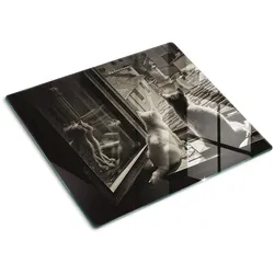 GLASPLATTE 60x52 cm Katzen im Fenster