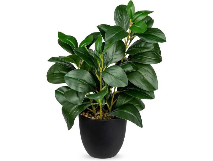Künstliche Pflanze Kamelie 28 cm, Grün, Kunststoff, 36 cm, Dekoration, Blumen & Blumentöpfe, Kunstpflanzen
