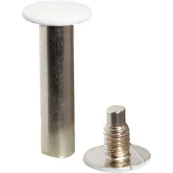 100 Buchschrauben, weiß lackiert 7 mm, Metall