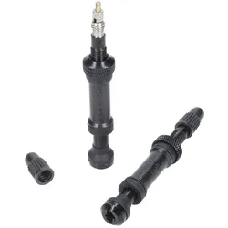 SKS Ersatzventil für Reifendrucksensor Airspy TL Set