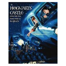 Ideyka Malen nach Zahlen - Harry Potter Autoflug (68647663)
