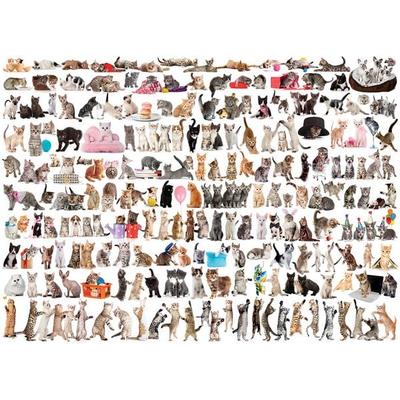 Katzenwelt (Puzzle)