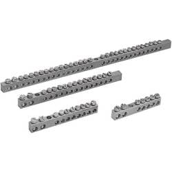 Schneider Electric NSYRBL21656M Erdungsleisten 2x16 + 5x6mm² Erdungsleiste Kupfer 1 St.