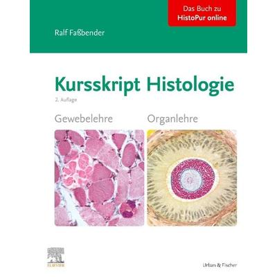 Kursskript Histologie, Gebundene Ausgabe von Ralf Fassbender, Urban & Fischer in Elsevier, 978-3-437-41262-2