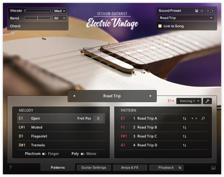 Native Instruments Sess. Guit. - Electric Vintage