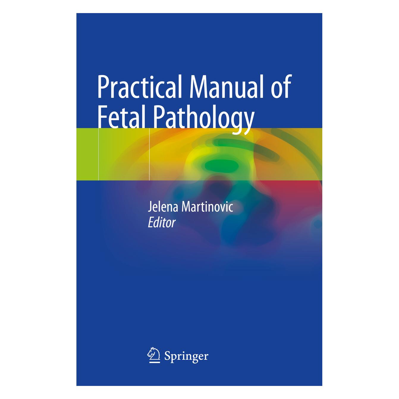 Springer Practical Manual of Fetal Pathology (Englisch, Softcover, Jelena Martinovic) (56217946)