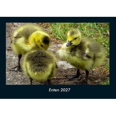 Enten 2027 Fotokalender DIN A4