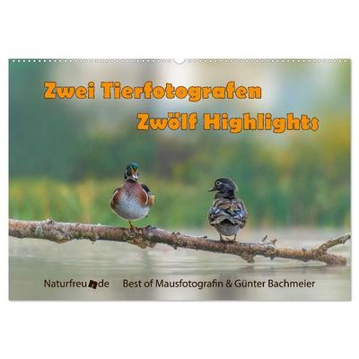 Zwei Tierfotografen Zwölf Highlights (Wandkalender 2026 DIN A2 quer), CALVENDO Monatskalender