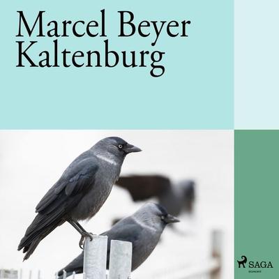 Kaltenburg - Marcel Beyer, Audio, 9783455315844
