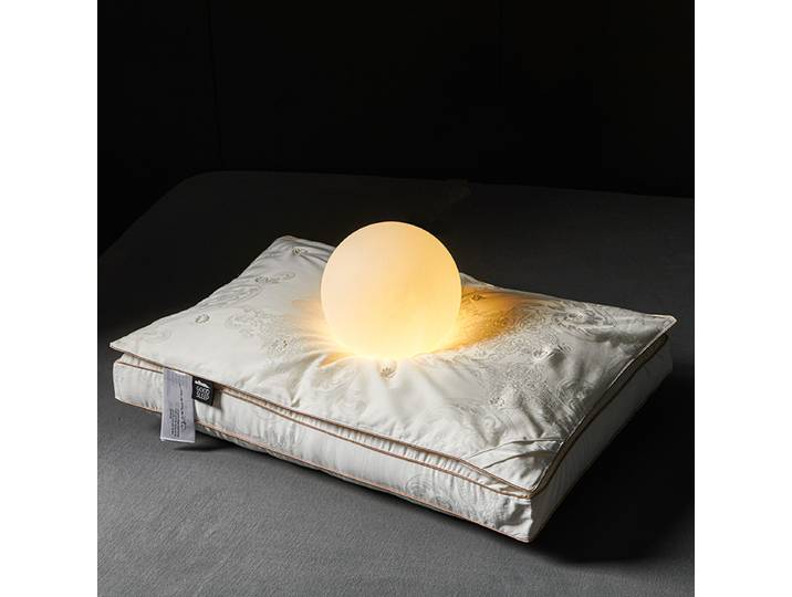 Oreiller décoratif en mûrier naturel pour dormir, lit, spa, beauté, double couche, composite, hôtel