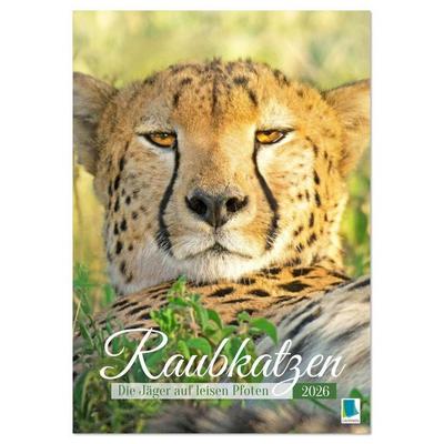 Raubkatzen: Die Jäger auf leisen Pfoten (Tischkalender 2026 DIN A5 hoch), CALVENDO Monatskalender