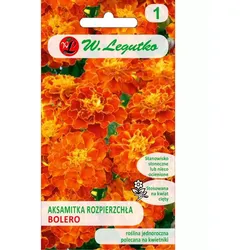 Streunender Tagetes Bolero mahagonifarben-honigfarben 1 g