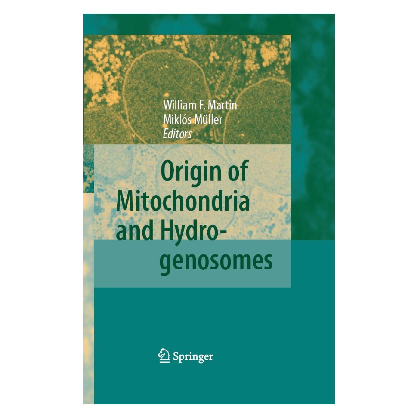 Springer Origin of Mitochondria and Hydrogenosomes (Englisch, Hardcover, Miklós Müller, William F. Martin) (9783540385011)