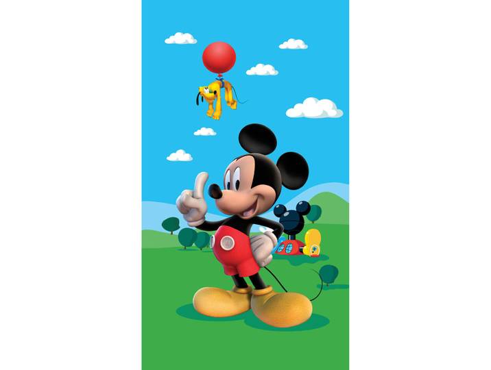 Ag Art - Voilage Taille L Mickey Mouse Portrait De Disney 140cm X 245cm