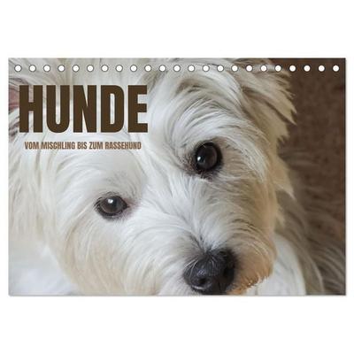 Hunde - vom Mischling bis zum Rassehund (Tischkalender 2027 DIN A5 quer), CALVENDO Monatskalender