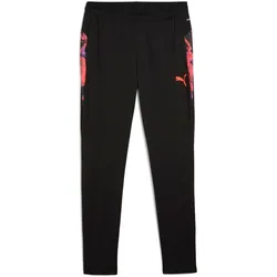 Puma, Herren, Sporthose, individualCUP Training Pants (S), Schwarz
