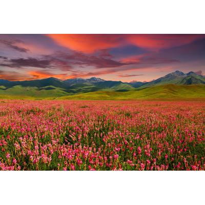 Papermoon "GEBIRGE-FELD BLUMEN BERGE WIESE SONNE WALD FLUSS WOLKEN"