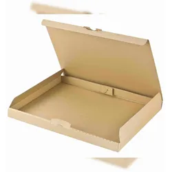 VEPATIM 50x Versandkarton 255x190x30mm schnelle Aufrichtung Steckverschluss Maxibrief DHL briefkastentauglich Höhe 3cm A5 B5 braun