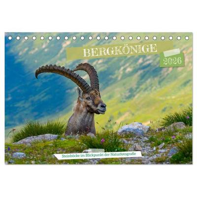 Bergkönige - Steinböcke im Blickpunkt der Naturforografie (Tischkalender 2026 DIN A5 quer), CALVENDO Monatskalender