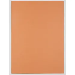 ELBA Aktendeckel DIN A4 orange