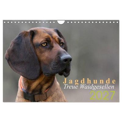 Jagdhunde - Treue Waidgesellen (Wandkalender 2027 DIN A4 quer), CALVENDO Monatskalender