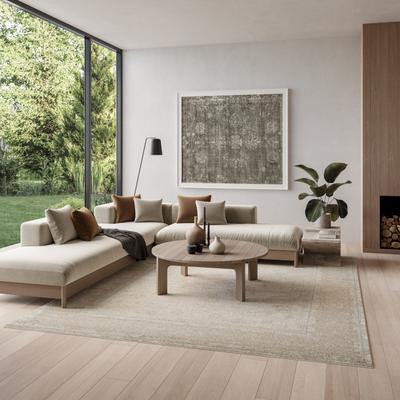 Nourison Dekor Indoor only Vintage Abstract Area Rug