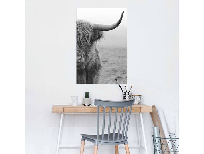 Poster Taureau Highlander Papier Noir 61 x 92 x 0cm